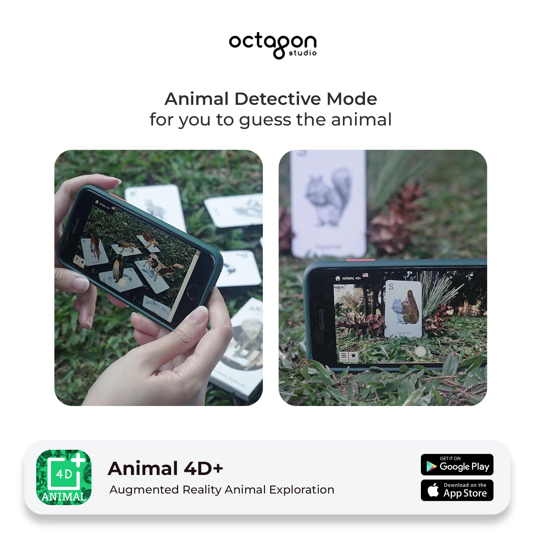 Animal 4D+ Augmented Reality Cards-4